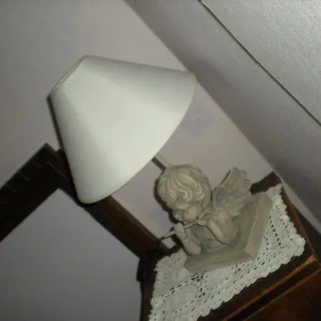 Le Rupicapra *